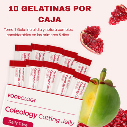 VellaFem-Gelatina QuemaGrasa™️